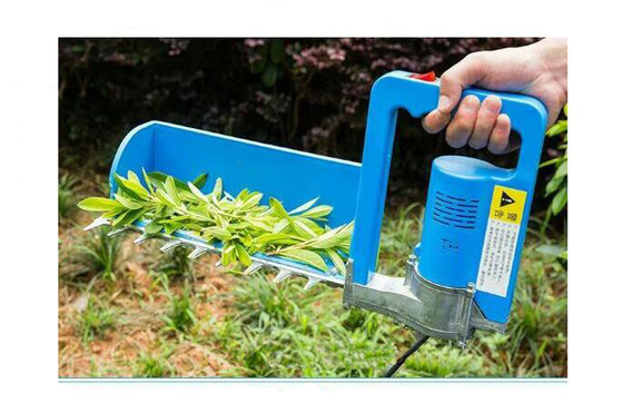 té eléctrico sin cepillo de la sola persona de la máquina de la cosecha del té 24V que despluma 200W